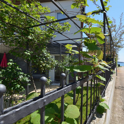 Apartments Pintar Novigrad  2