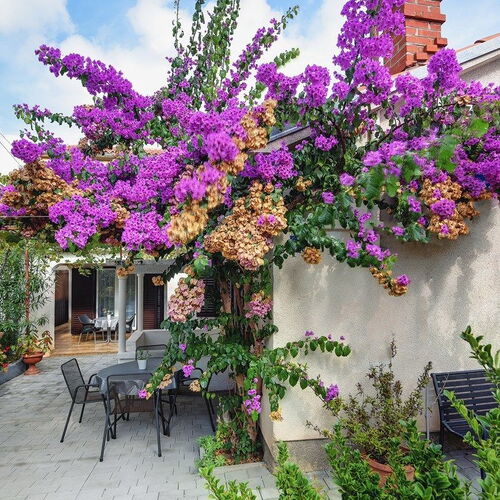 Casa Aurora Pomer  2