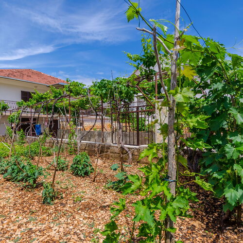Apartment Marin Vinisce  4