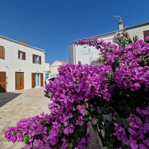 House Miamare Primosten