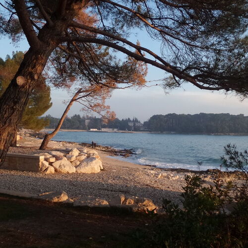 Apartments Adrian Rovinj  3