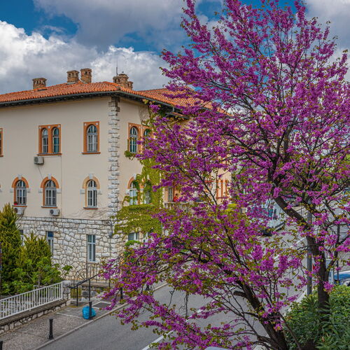 Apartment Tea Crikvenica II  2