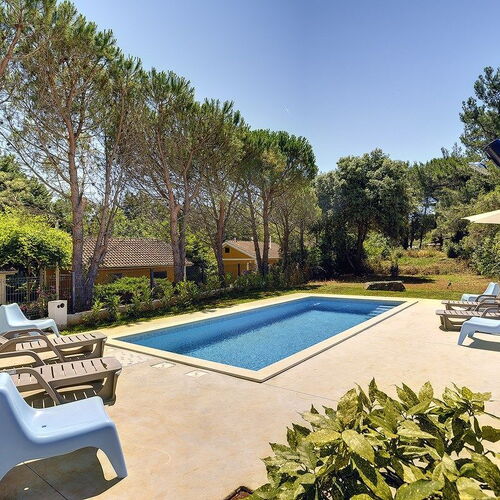 Villa Chiara Premantura  2