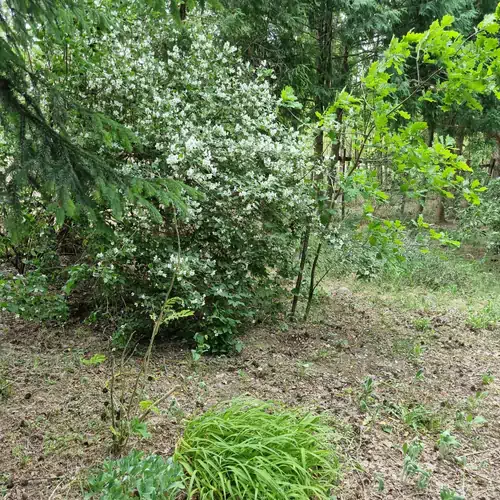 Ordashegyi Vendégház Pápateszér 005 kép