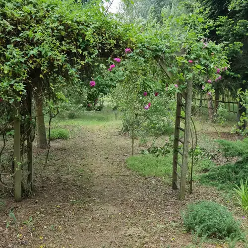 Ordashegyi Vendégház Pápateszér 006 kép