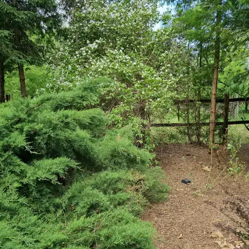 Ordashegyi Vendégház Pápateszér 008 kép