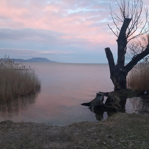 Hatod Vendégház Balatongyörök ★★★ 2