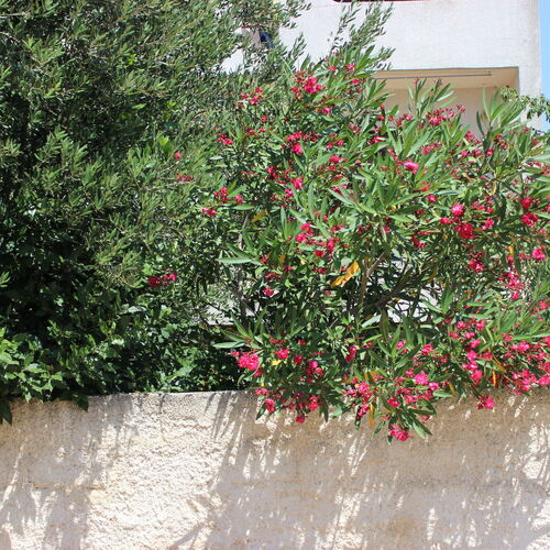 Apartment Kunce Medulin  4
