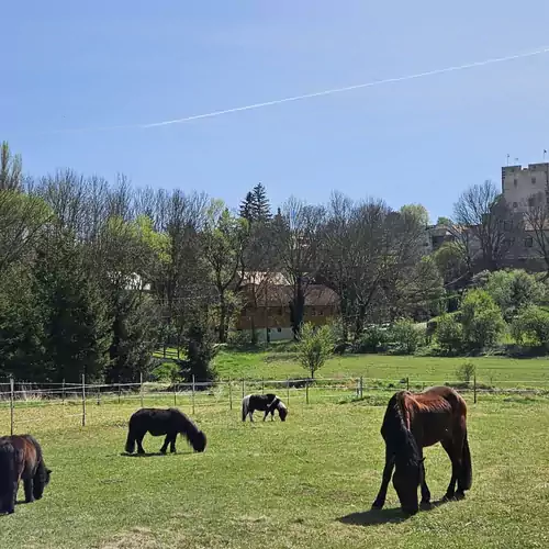 História apartman Nagyvázsony 007 kép