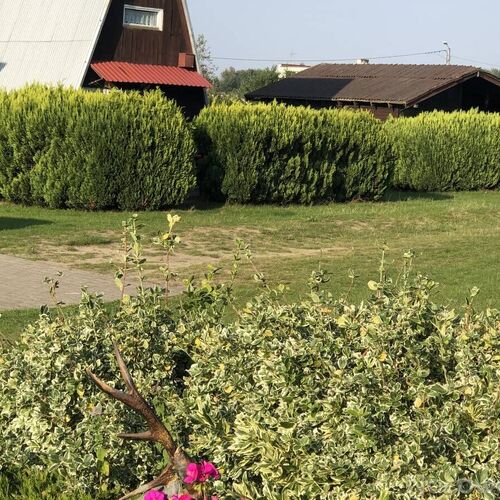 Domek 7 osobowy i 4 osobowy