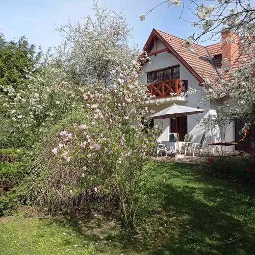 Fenyves Villa Gödöllő 011 kép