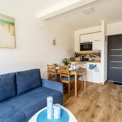 Salon z aneksem i rozkładaną kanapą