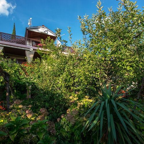 Apartments Pavlina Starigrad Paklenica  4