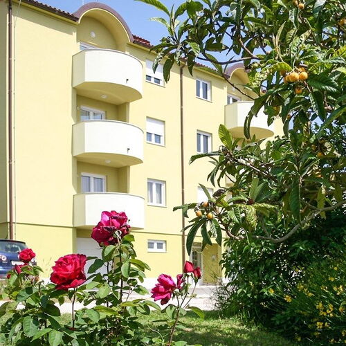 Apartments Casa Verde Premantura  4