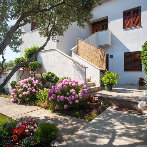 Apartment Smiljana Krk  3
