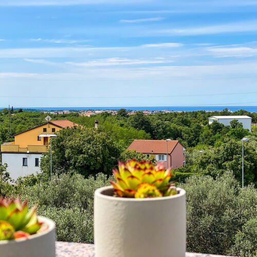 Apartment EMA Umag  3