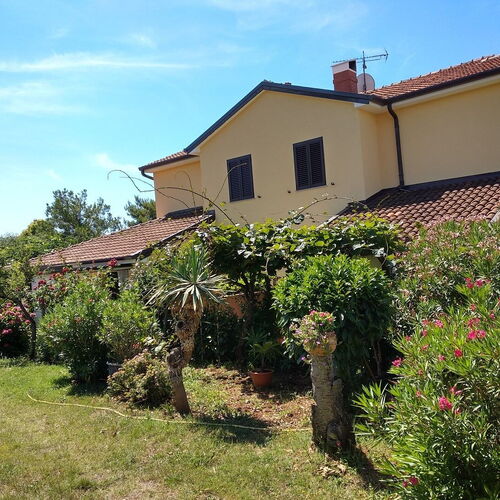 Apartments Graziella Zambratija  2