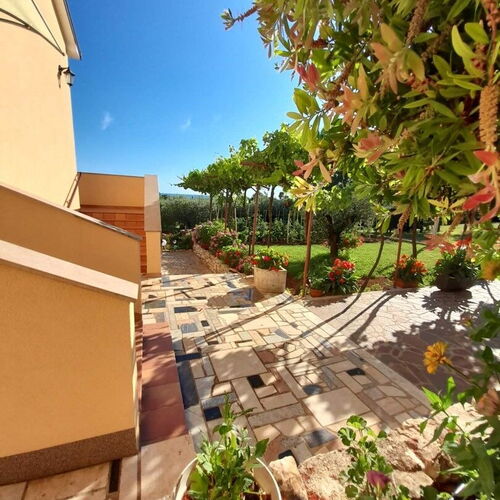 Apartments Graziella Zambratija  4