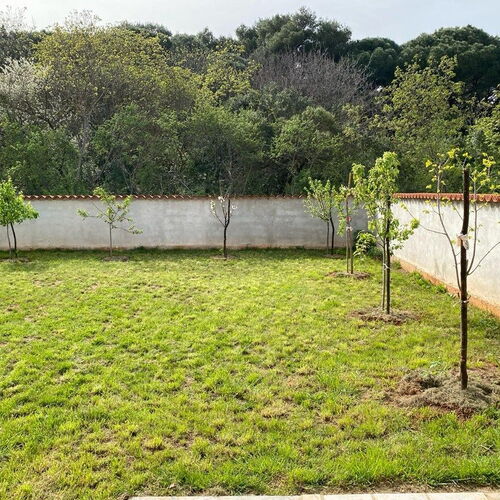 Casa Orangina Medulin  3