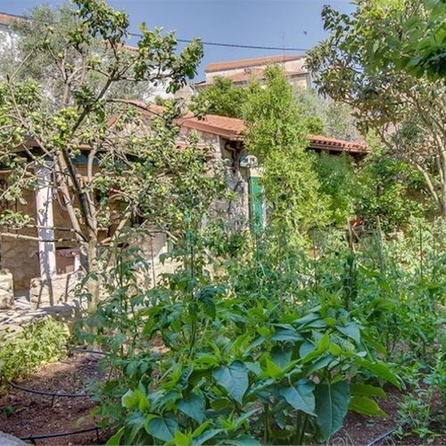 Apartment JULIA Veli Losinj  4