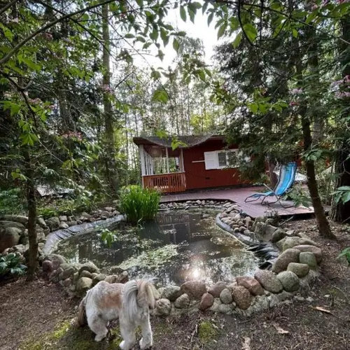 Widok na oczko wodne