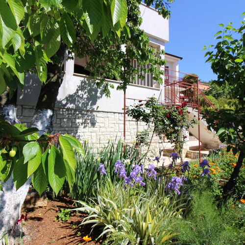 Apartments Anka Porec  2
