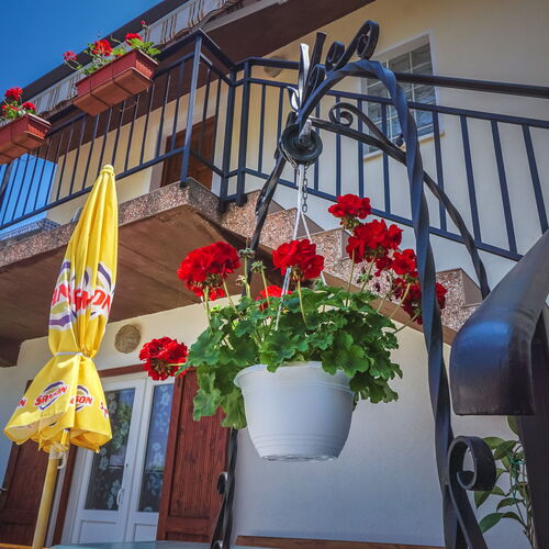Apartment SANDRA Zambratija  4