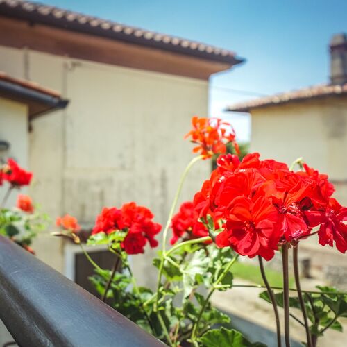 Apartment SANDRA Zambratija