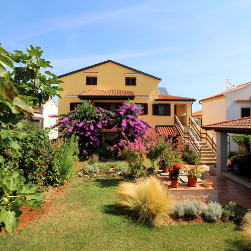 Apartments Tancel Porec  4