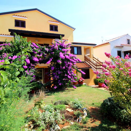 Apartments Tancel Porec  3