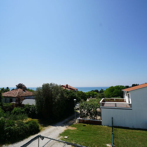 Apartment CARLI Zambratija  4