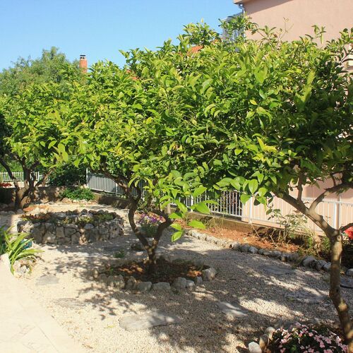 Apartmanok Parkolóhellyel Orebic, Peljesac - 10440 Orebić  3