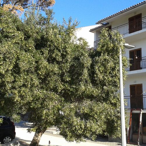 Apartmanok Parkolóhellyel Brela, Makarska - 20007 Brela  2