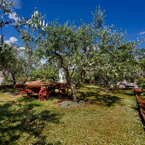 Apartmanok Parkolóhellyel Njivice, Krk - 20505 Njivice  3