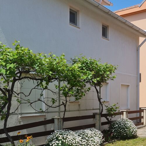 Apartmanok A Tenger Mellett Vir - 20723  4