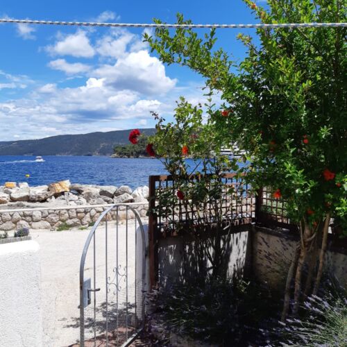 Apartmanok A Tenger Mellett Valun, Cres - 20860 Valun  4