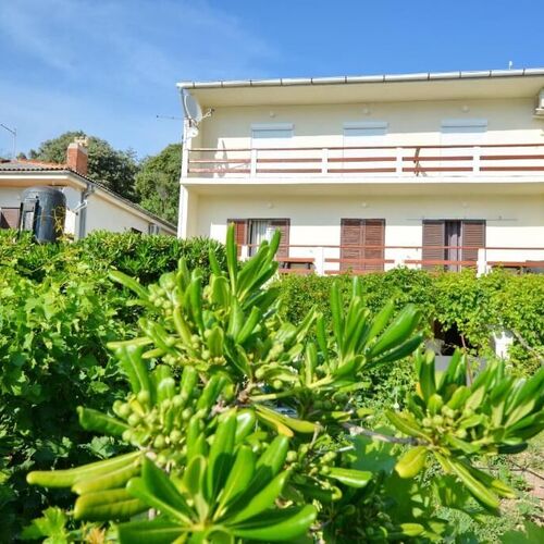 Apartmanok A Tenger Mellett Pag - 20961  3