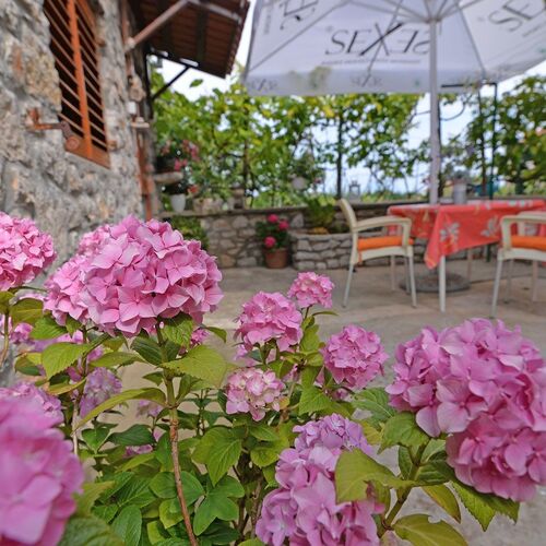 Apartmanok Parkolóhellyel Veli Losinj, Losinj - 21185 Veli Lošinj