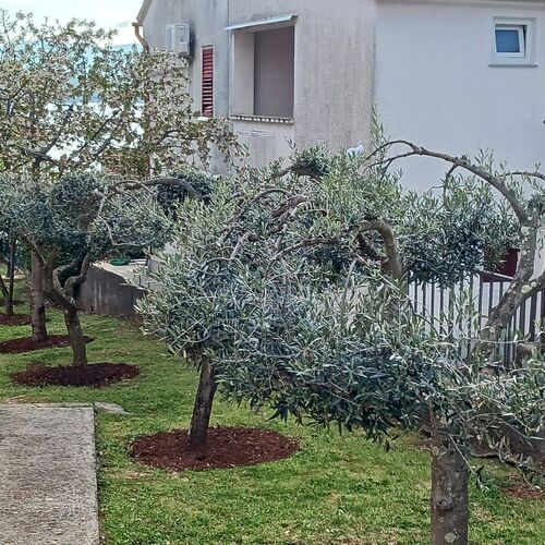 Apartmanok A Tenger Mellett Malinska, Krk - 21205 Malinska  3