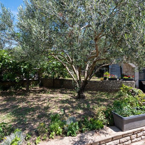 Apartmanok Parkolóhellyel Sveti Filip I Jakov, Biograd - 21221 Sveti Filip I Jakov  3