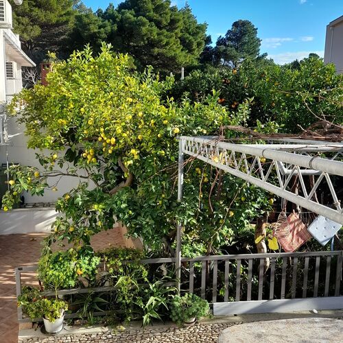 Apartmanok Parkolóhellyel Zivogosce - Blato, Makarska - 21271 Živogošće - Blato  3