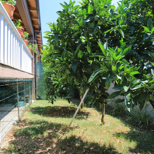 Nyaralóház Parkolóhellyel Kastel Stafilic, Kastela - 21506 Kaštel Štafilić  3