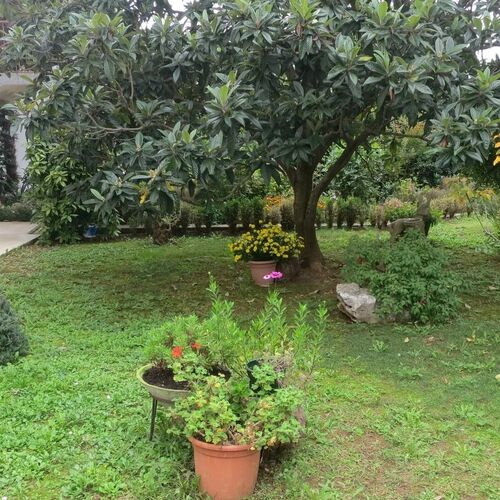 Apartmanok Parkolóhellyel Malinska, Krk - 21687 Malinska  4