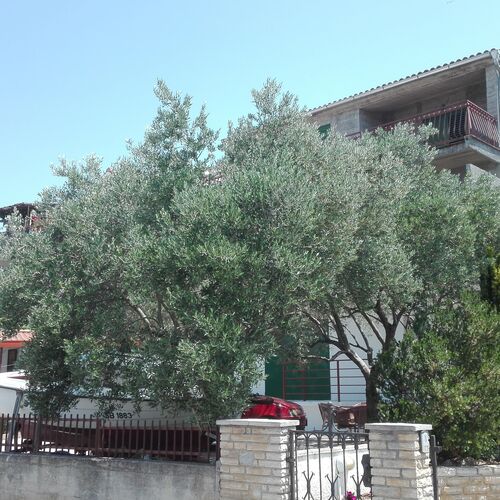 Apartmanok Parkolóhellyel Brodarica, Sibenik - 21888 Brodarica  4