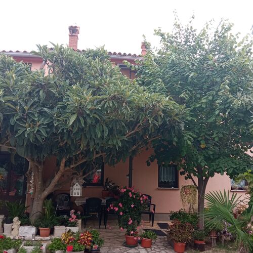 Apartmanok Parkolóhellyel Rovinj - 21996  4