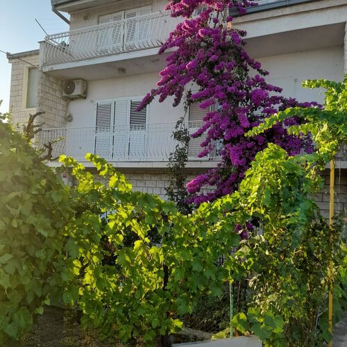 Apartmanok Parkolóhellyel Split - 22101  4