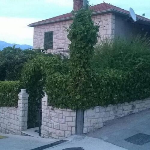 Apartmanok A Tenger Mellett Postira, Brac - 22160 Postira  4