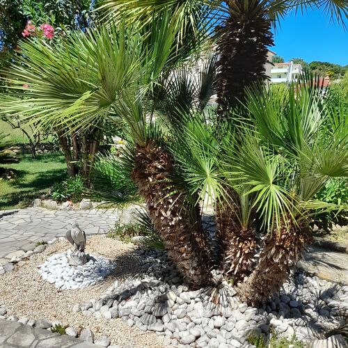 Apartmanok és Szobák Parkolóhellyel Palit, Rab - 22221 Palit  3