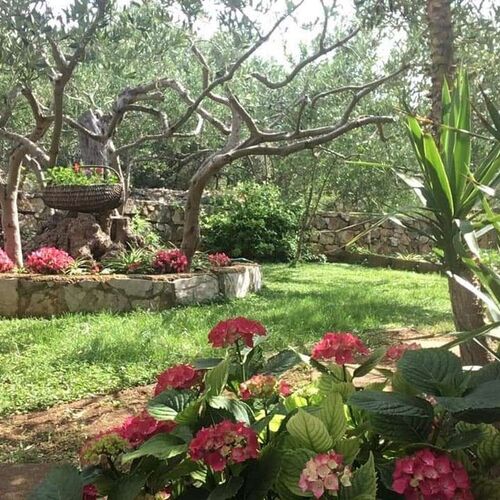 Apartmanok Parkolóhellyel Sucuraj, Hvar - 22239 Sućuraj  4