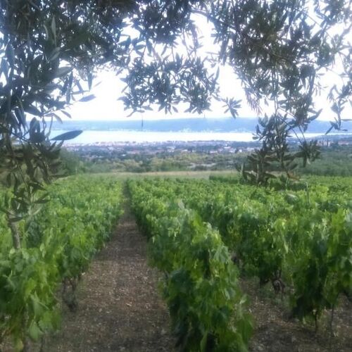 Apartmanok Parkolóhellyel Kastel Novi, Kastela - 22378 Kaštel Novi  4